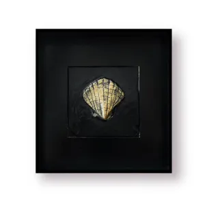 Coral Scallop Framed Sculpture