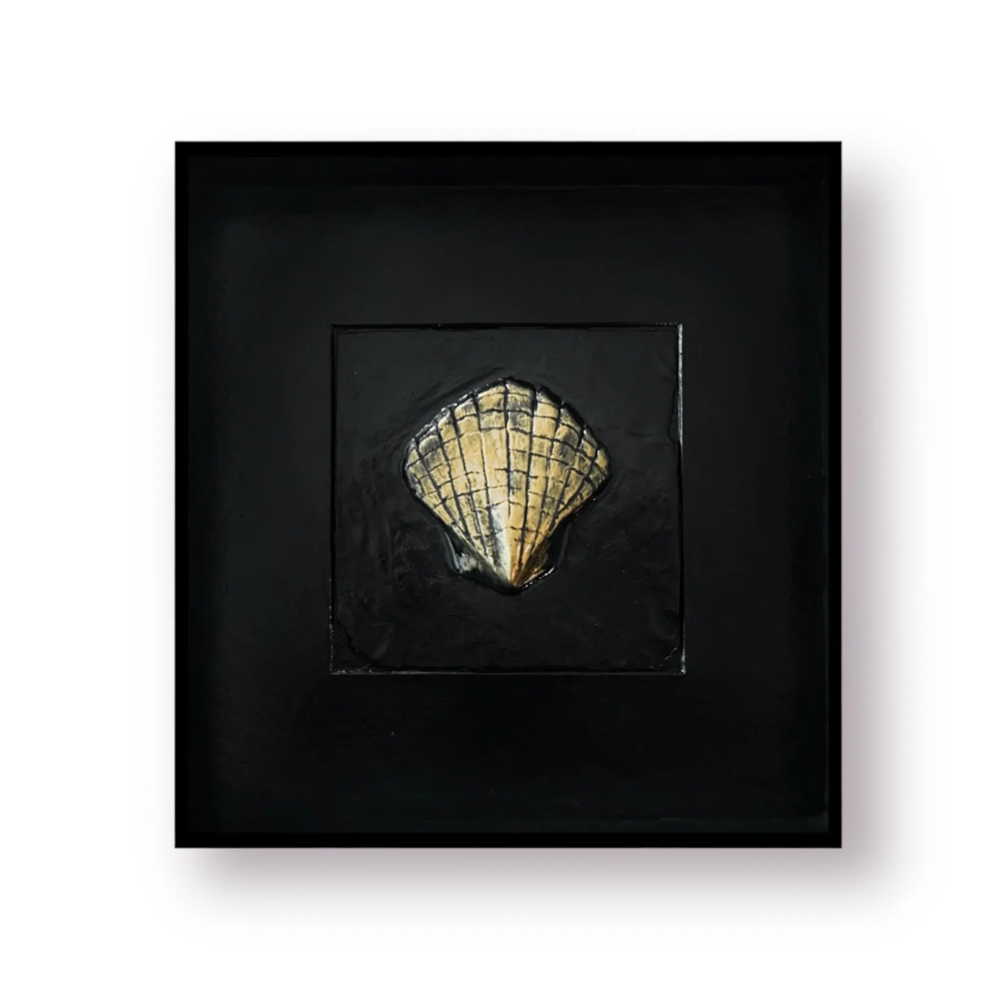 Coral Scallop Framed Sculpture