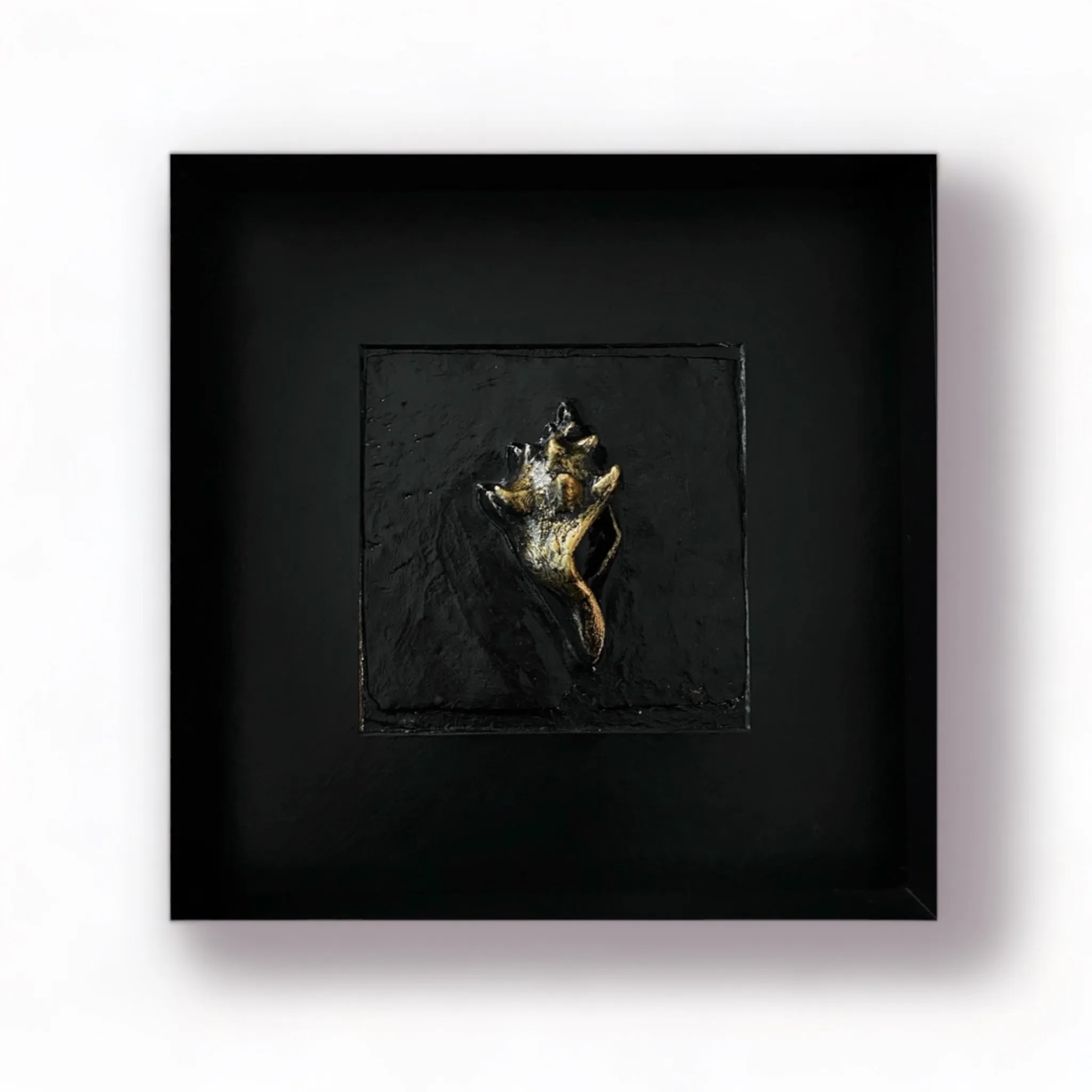 Sand Conch Framed Sculpture